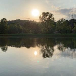 Meet your Posher, Wyatt